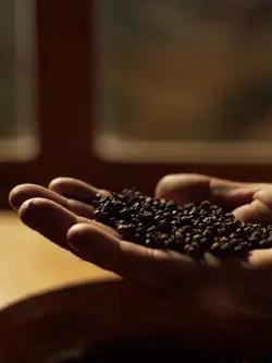 Category Image: - Ce inapoiem